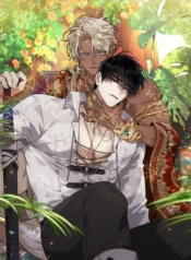 b272bd9c443cb6d1b73779f163141ed40dd4de57_330_441_57214